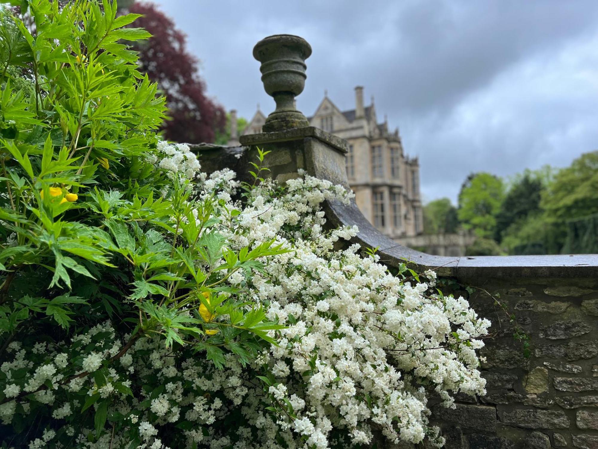The Hall - Historic Grade I-Listed Jacobean Mansion Bradford-On-Avon Exteriér fotografie